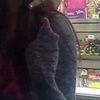 bxd_kas11228